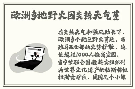 两个男生做酿酿酱酱的软件